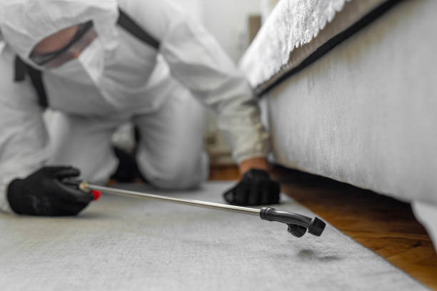 Professional Bed Bug Control technician working in Chesapeake Beach, MD