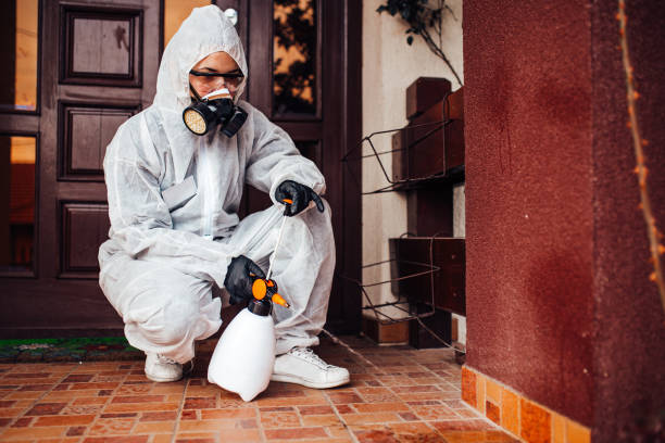 Reliable Bed Bug Control contractor in Chesapeake Beach, MD by Nex Pest Control